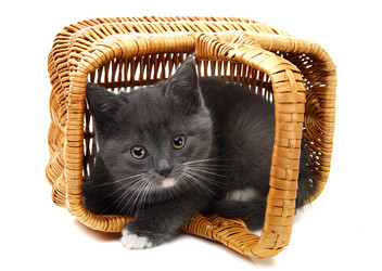 Similar image 832137