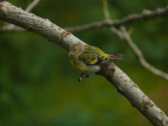 Similar image 832149