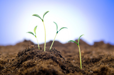 Similar image 832156