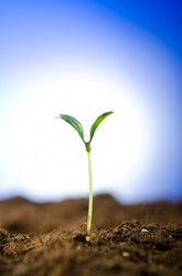 Similar image 832157