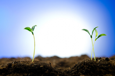 Similar image 832158