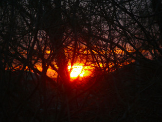 Similar image 832159