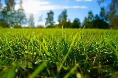 Similar image 832173