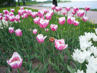 Similar image 832193