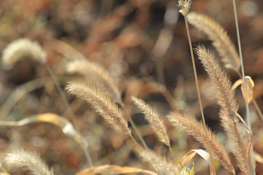 Similar image 832226