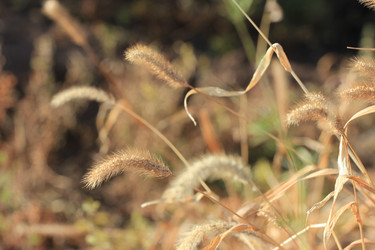 Similar image 832228