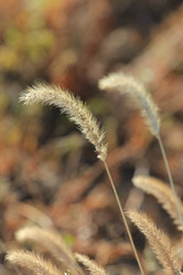 Similar image 832230