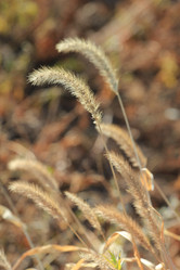 Similar image 832232