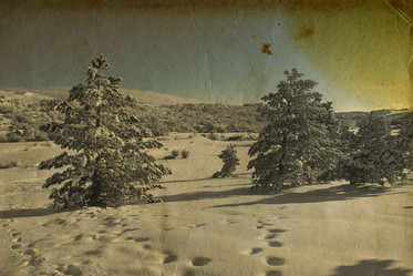 Similar image 832236