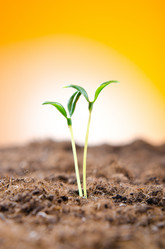 Similar image 832249