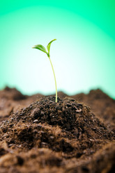 Similar image 832250