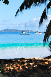 Similar image 832263