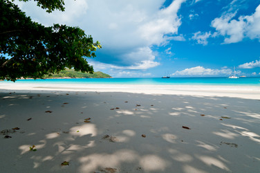 Similar image 832268