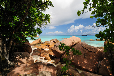 Similar image 832275