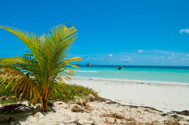 Similar image 832277