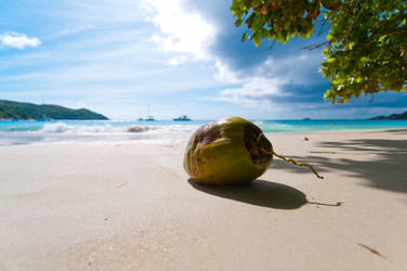 Similar image 832278