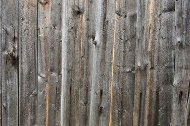 Similar image 832287