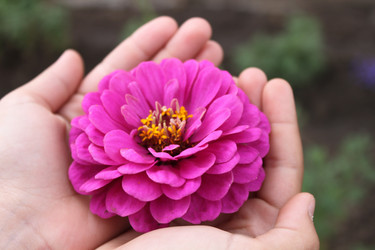 Similar image 832288