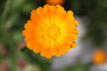 Similar image 832291