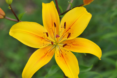 Similar image 832367