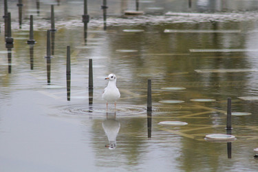 Similar image 832375