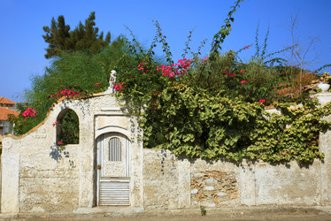 Similar image 832385