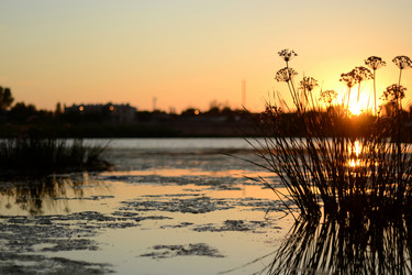 Similar image 832428