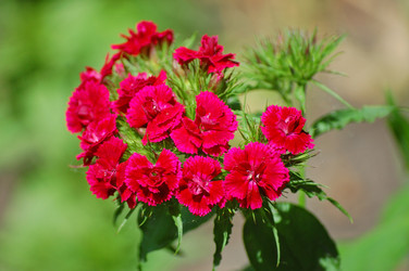 Similar image 832435