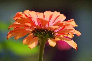 Similar image 832438