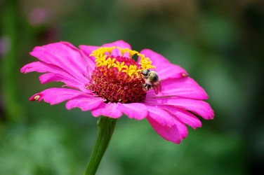 Similar image 832442