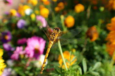 Similar image 832447