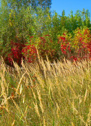 Similar image 832450