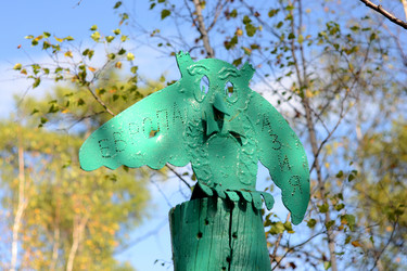 Similar image 832452