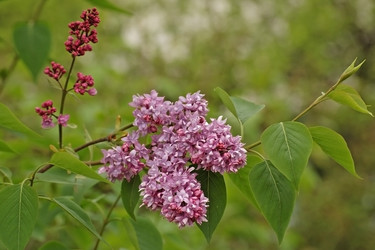 Similar image 832453