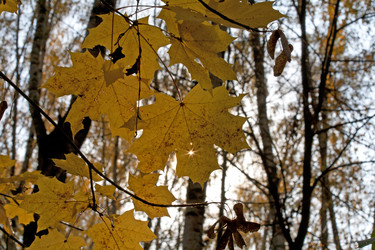 Similar image 832455