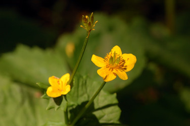 Similar image 832456