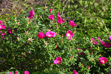 Similar image 832462