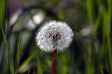 Similar image 832465