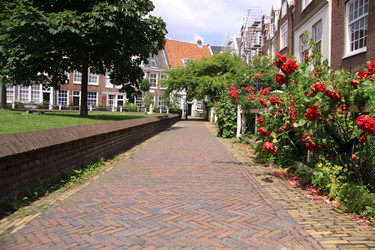 Similar image 832469