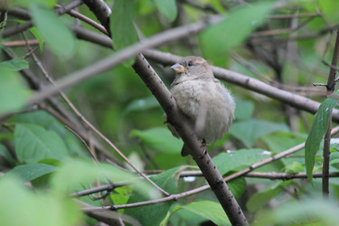 Similar image 832491