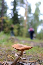 Similar image 832525