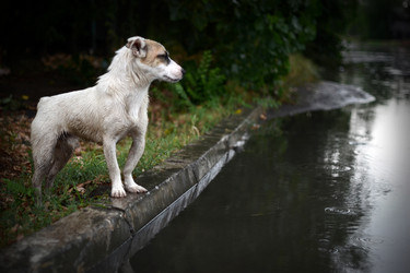 Similar image 832527