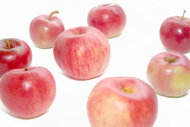 Similar image 832557