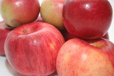 Similar image 832558