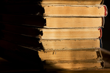 Similar image 832578