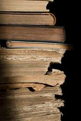 Similar image 832583