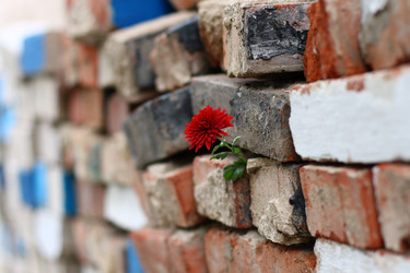 Similar image 832593