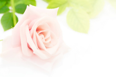 Similar image 832603