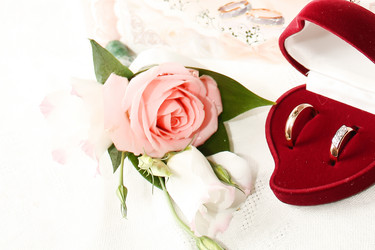 Similar image 832629