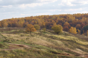 Similar image 832631